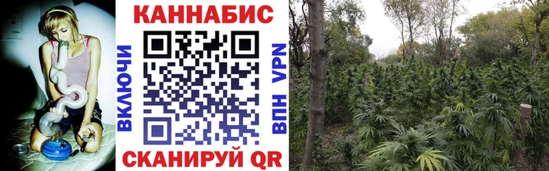 Шишки марихуана сатива  купить наркотики цена  Зима 